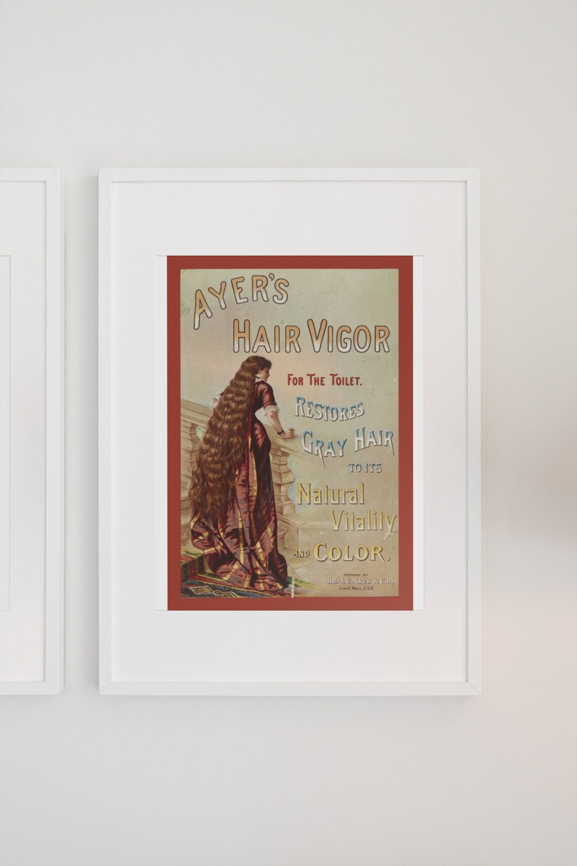 Ayers Hair Vigor Victorian Patent Medicine Vintage Ad Poster - Image 3