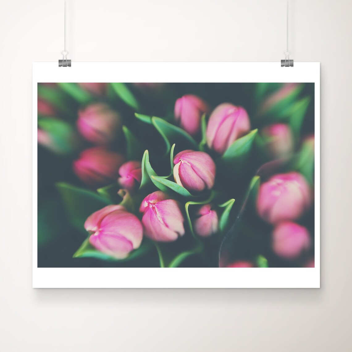 Dreamy Pink Tulip Buds Close Up Spring Floral Photography Poster