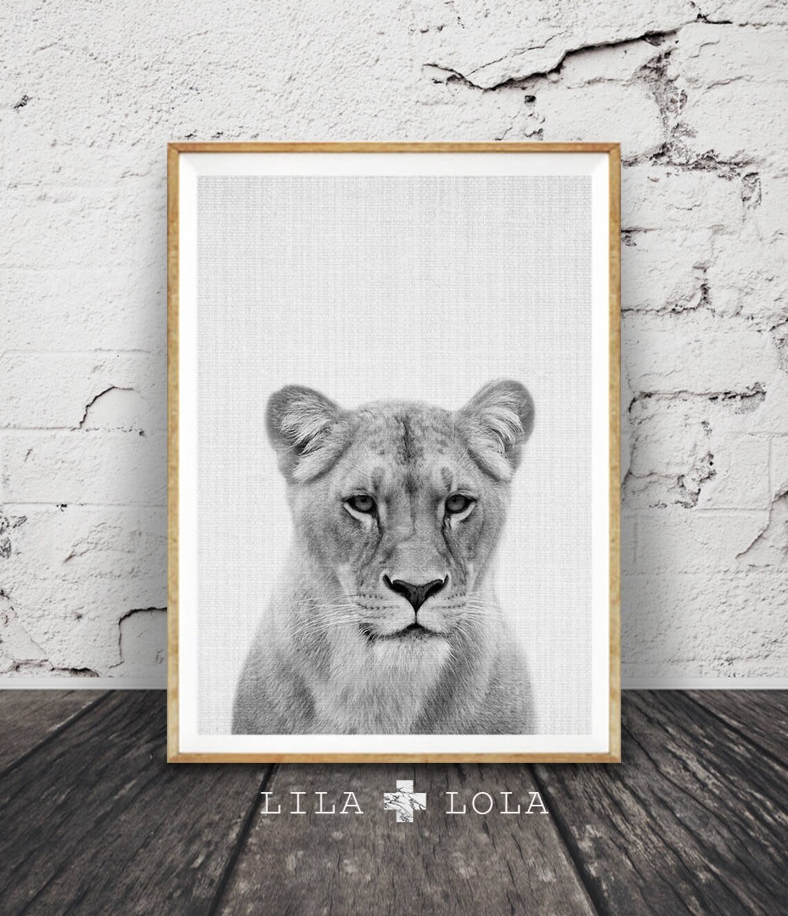 Lioness Portrait Black And White Safari Art Print