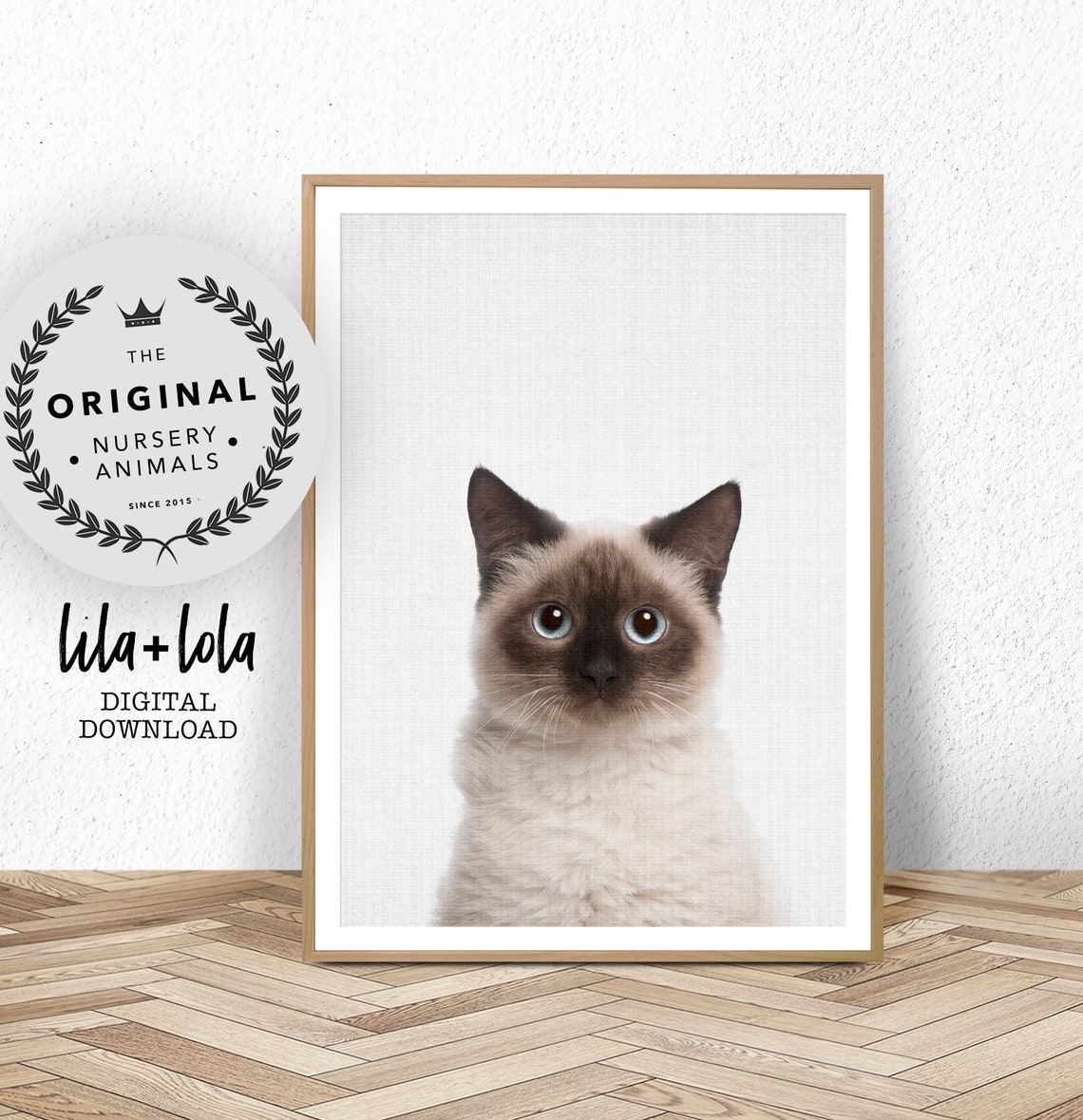 Blue Eyed Pointed Kitten Nursery Photo Poster for Cat Lovers