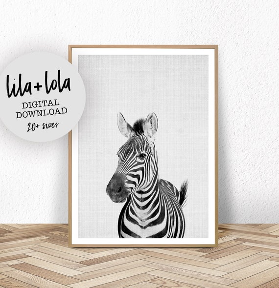 Zebra Nursery Animal Art Print, Black And White
