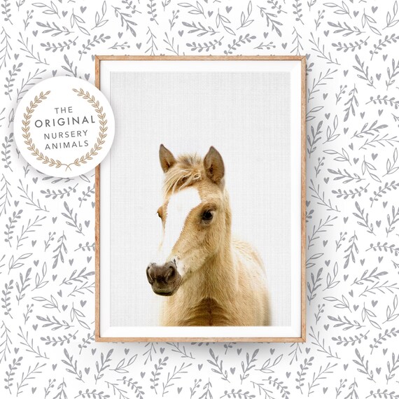 Baby Horse Foal Art Print, Nursery Wall Art