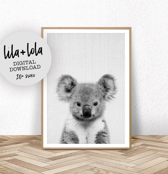 Baby Koala Print, Australian Animal Nursery Decor