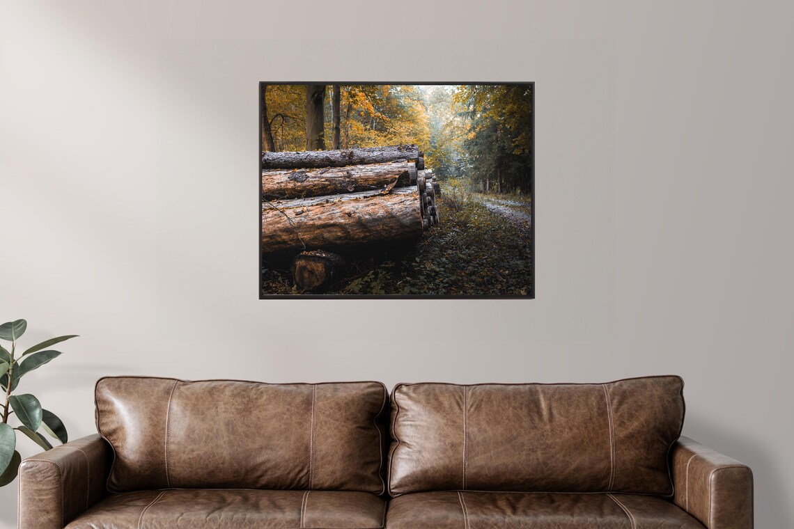 Stacked Timber Logs Beside a Trail in Autumn Woodland Poster - Image 2