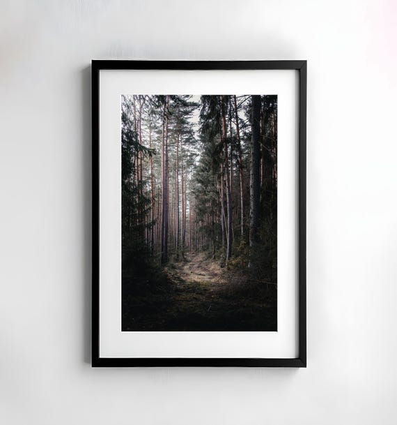 Forest Photography Nature Wall Art Poster Fineart Print Nature Photography Decor Art Wall Design Trees Poster Moody