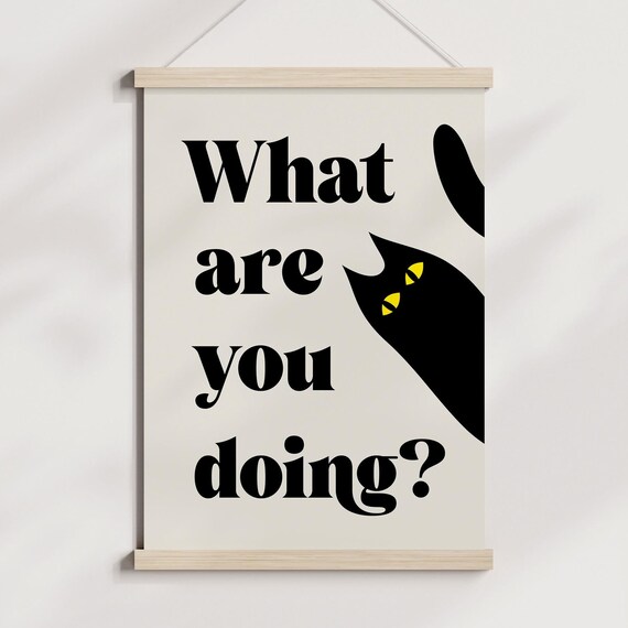 What Are You Doing Funny Cat Poster