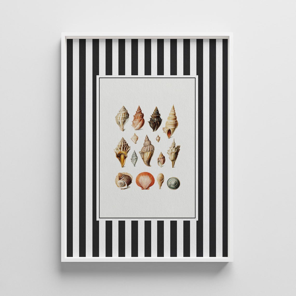 Vintage Seashell Collection Illustration Striped Coastal Print