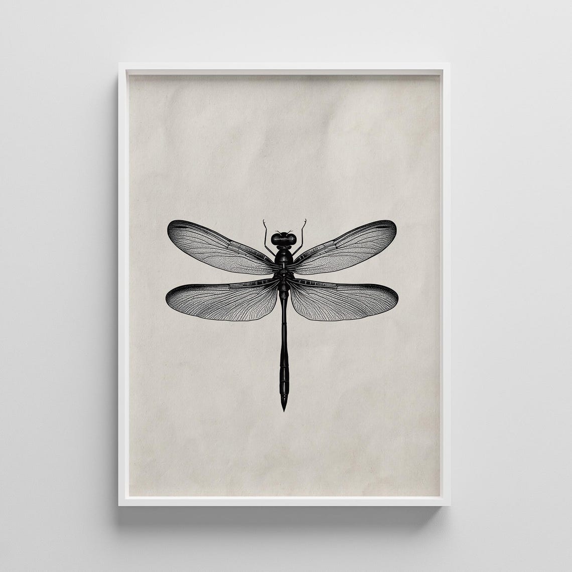 Vintage Black and White Dragonfly Insect Botanical Illustration Print