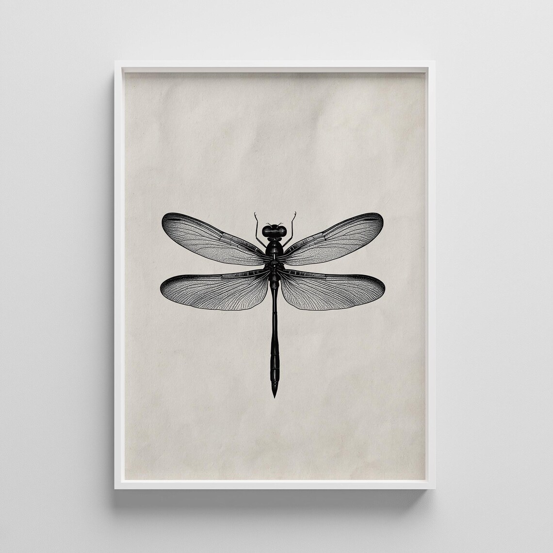 Vintage Dragonfly Print Black And White Insect Illustration