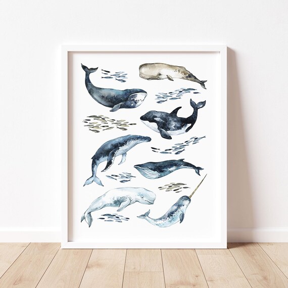 Watercolor Whale Wall Art Baby Boy Ocean Nursery Decor Whale Poster Kids Whale Illustration Nautical Prints