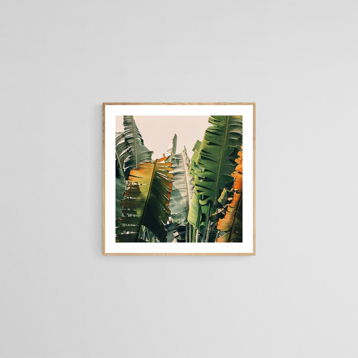 Banana Leaf Print, Tropical Botanical Art