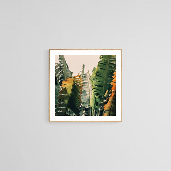 Banana Leaf Print, Tropical Botanical Art