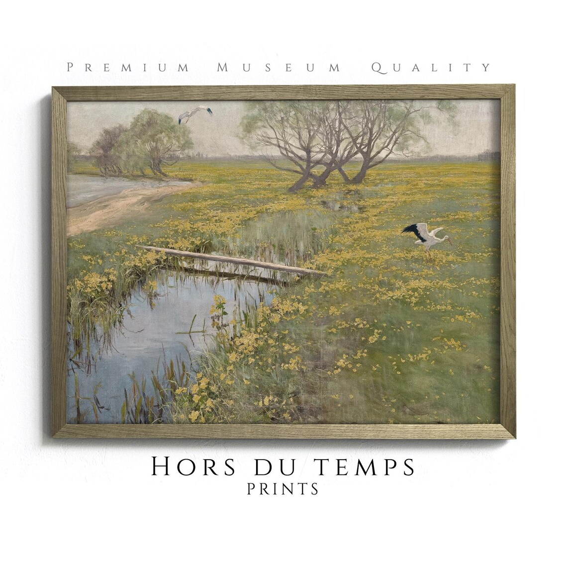 White Storks Spring Marsh Marigolds Country River Vintage Painting Poster