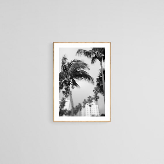 Palm Tree Print, Miami Tropical Photograph