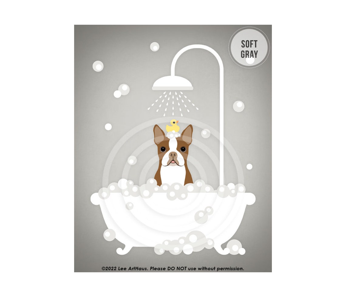 Red Boston Terrier Taking Bubble Bath Under Shower Cute Dog Poster - Image 3