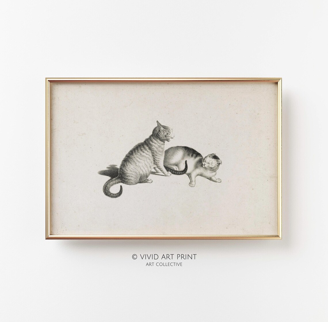 Vintage Cats Etching, Classic Feline Wall Art