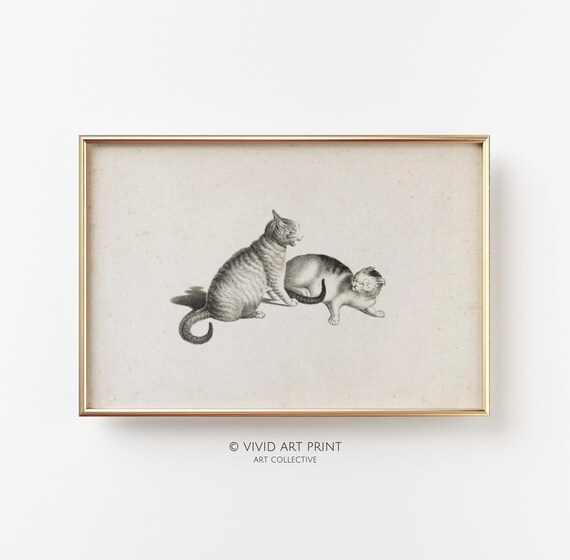 Vintage Cats Etching, Classic Feline Wall Art