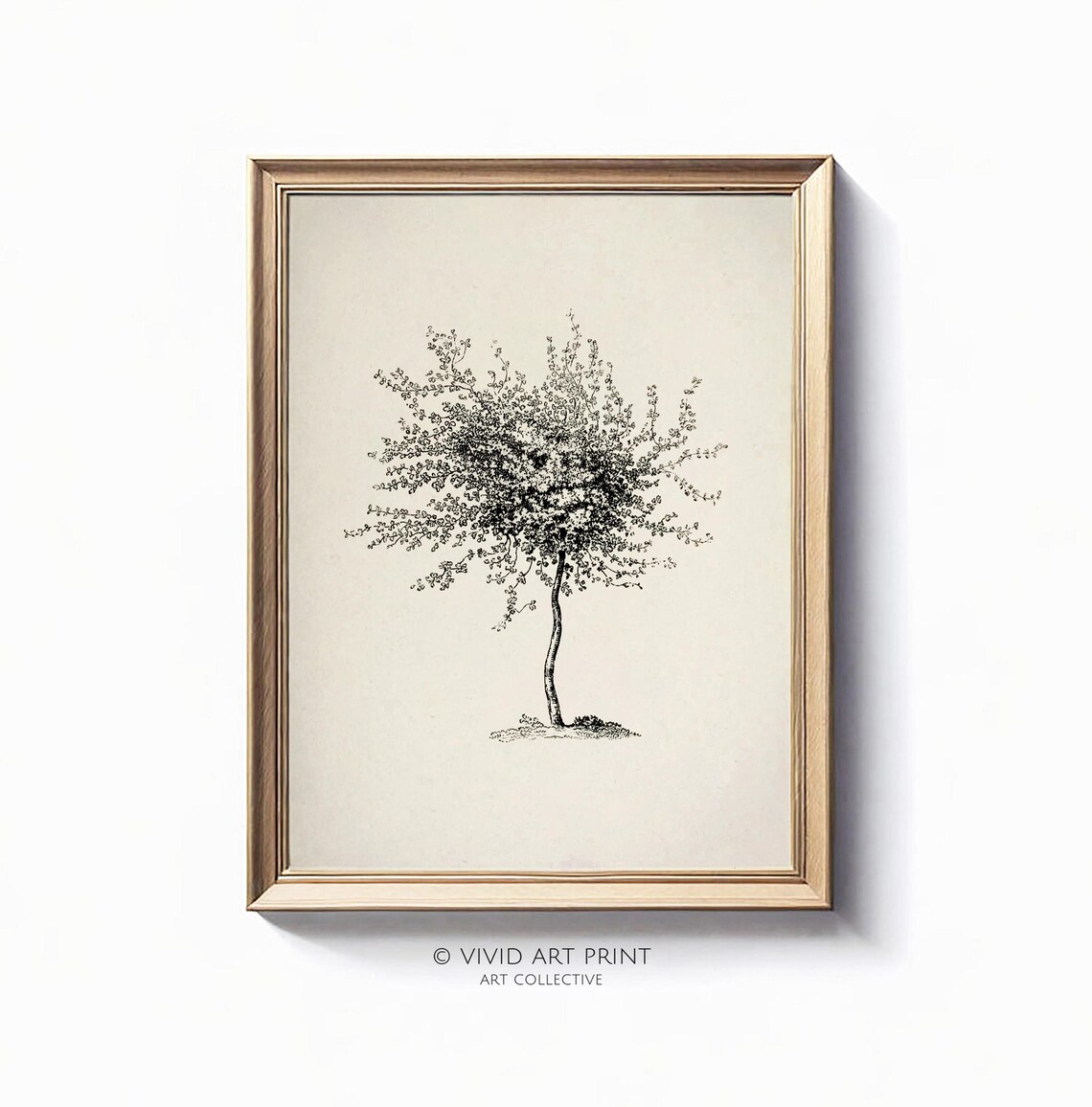 Vintage Botanical Tree Sketch, Elegant Drawing