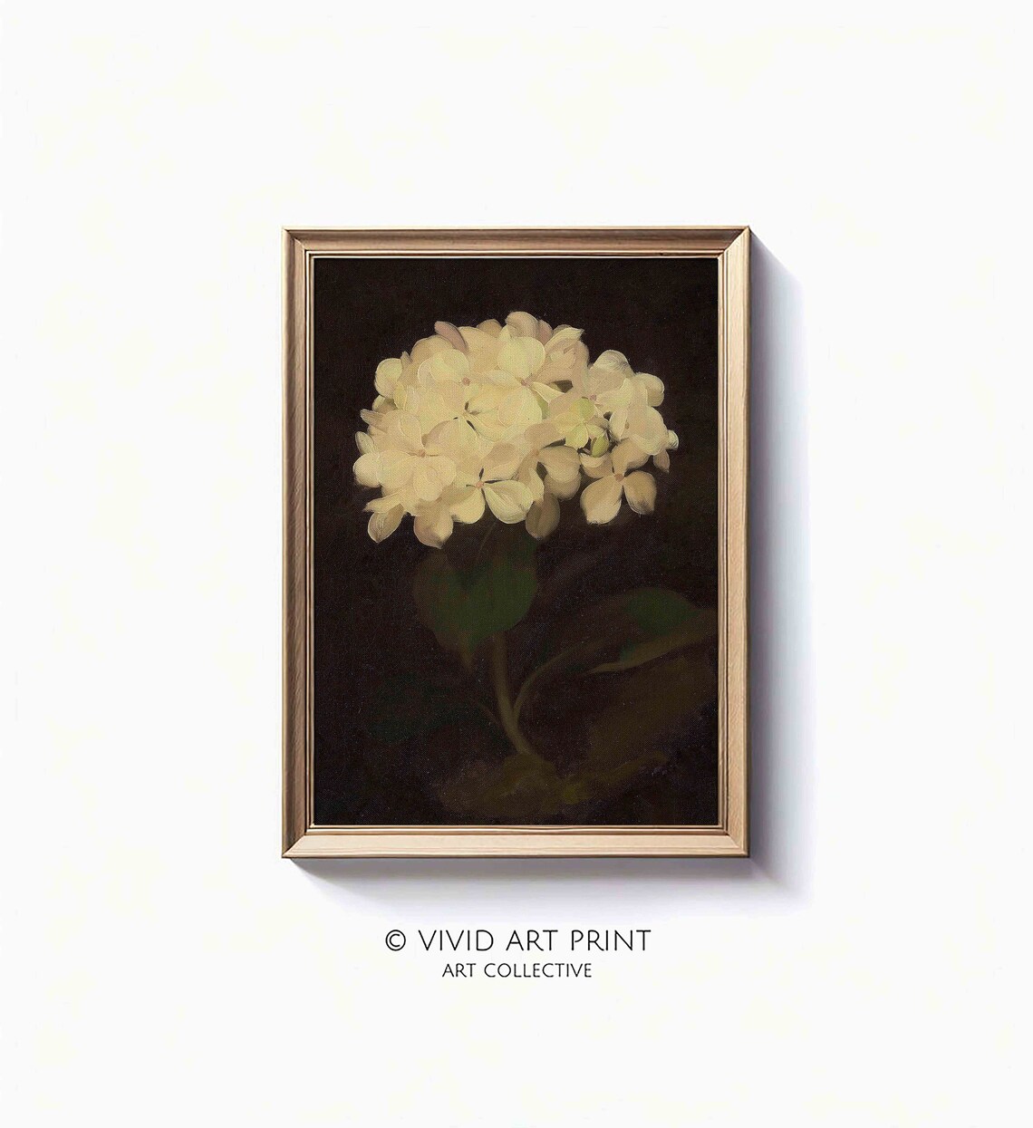 Vintage Still Life White Hydrangea Antique Decor