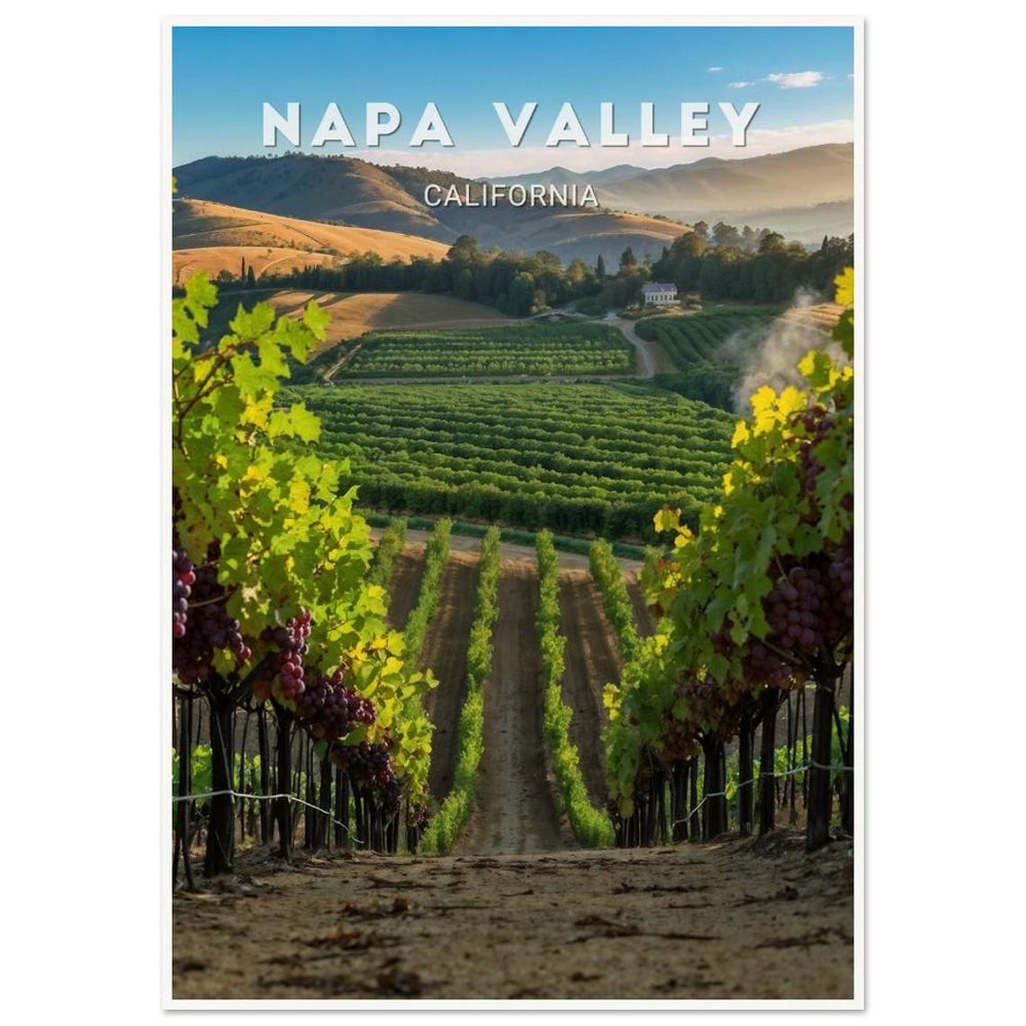 Napa Valley Vineyard Rows Sunrise Hills California Travel Poster