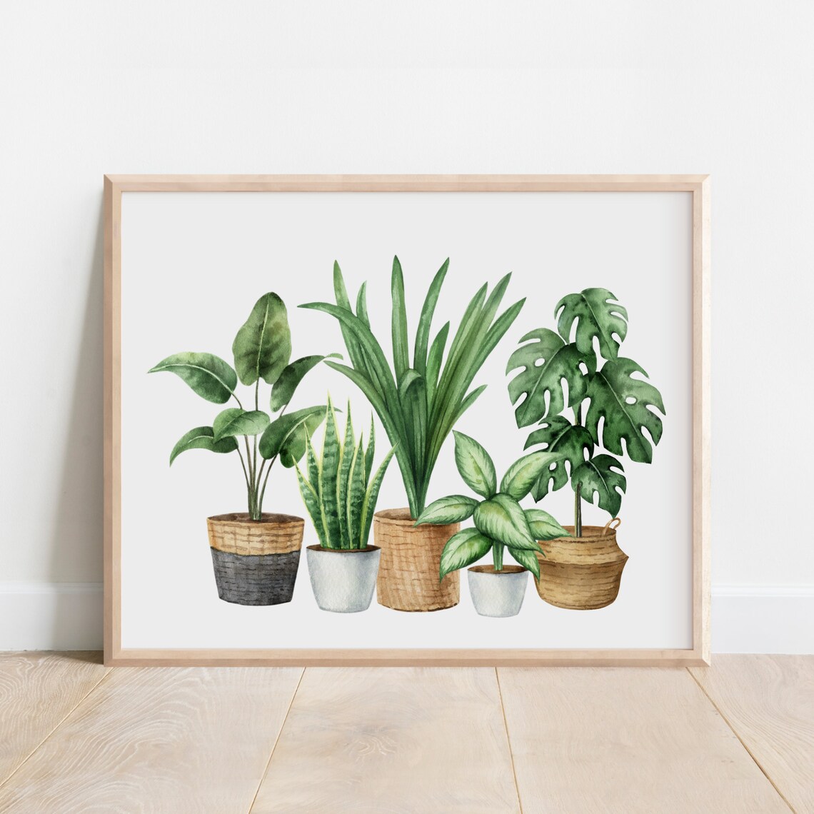 Watercolor Houseplants Botanical Set Of Five Potted Plants Poster