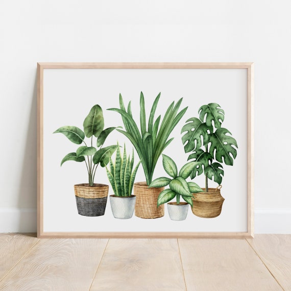 Watercolor House Plants Botanical Plant Poster Leaf Print Terracotta Pot Indoor Home Decor Emerald Green