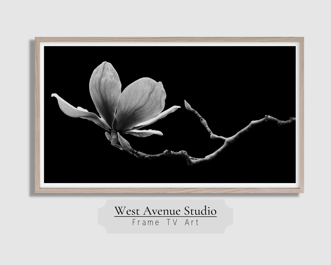 Black and White Magnolia Blossom Branch Moody Botanical Photo Poster - Image 4