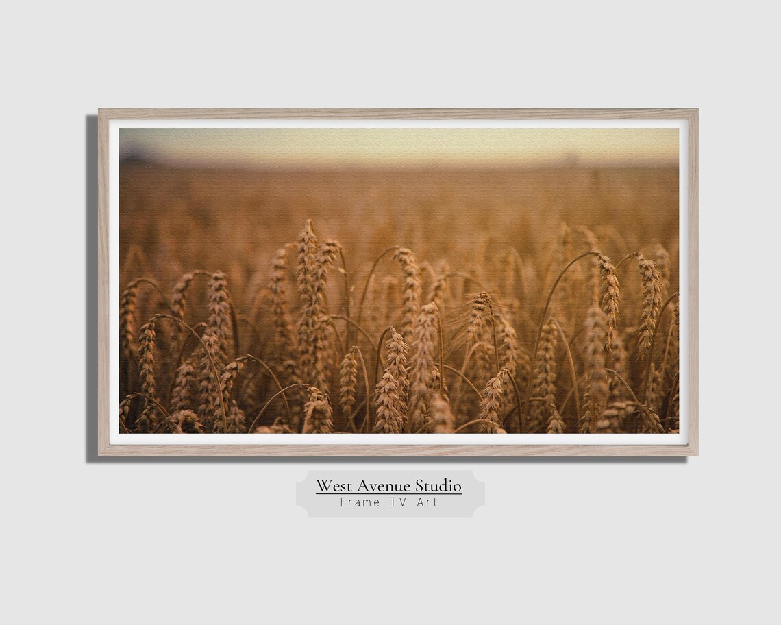 Fall Wheat Field TV Art, Farmhouse Decor Print - Image 4