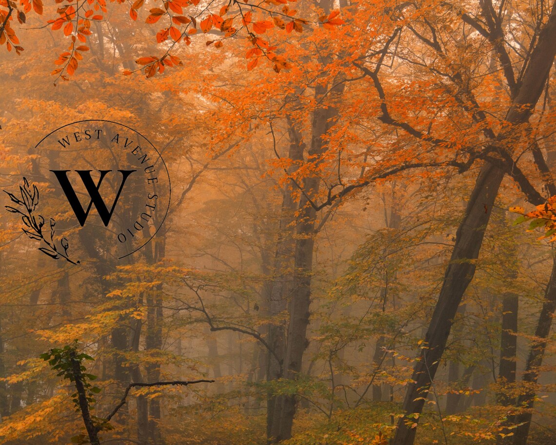 Misty Orange Autumn Forest Golden Fall Trees Foggy Woodland Poster - Image 3