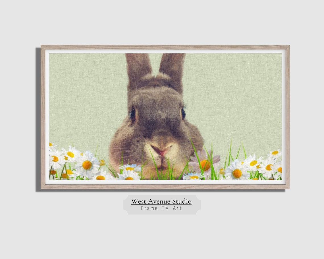 Easter Bunny Face Daisies Close Up Cute Spring Animal Photo Poster - Image 5
