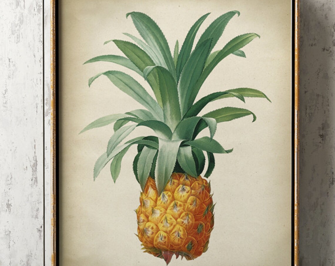 Pineapple Botanical Print Poster, Tropical Fruit Decor