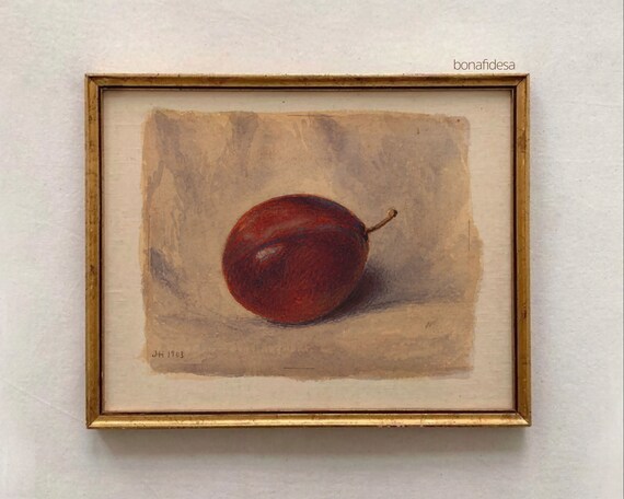 Antique Red Plum Ink Drawing 1903 Vintage Botanical Fruit Study Art Poster