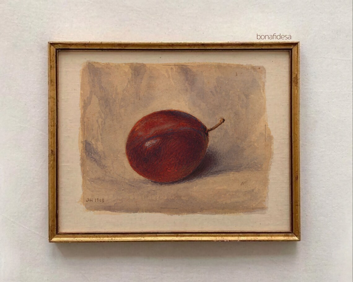 Antique Red Plum Ink Drawing 1903 Vintage Botanical Fruit Study Art Poster