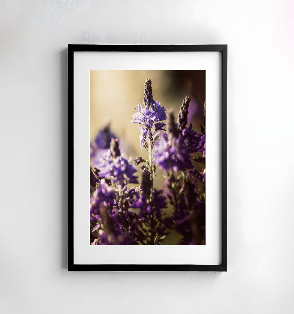 Purple Wildflower Spike in Golden Light Macro Photography Poster
