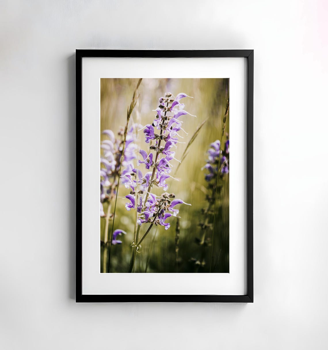 Purple Wild Sage Wildflower Sunlit Meadow Spring Garden Poster