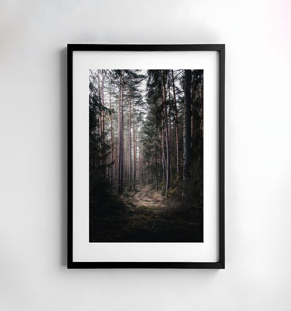 Forest Photography Nature Poster Print, Moody Trees
