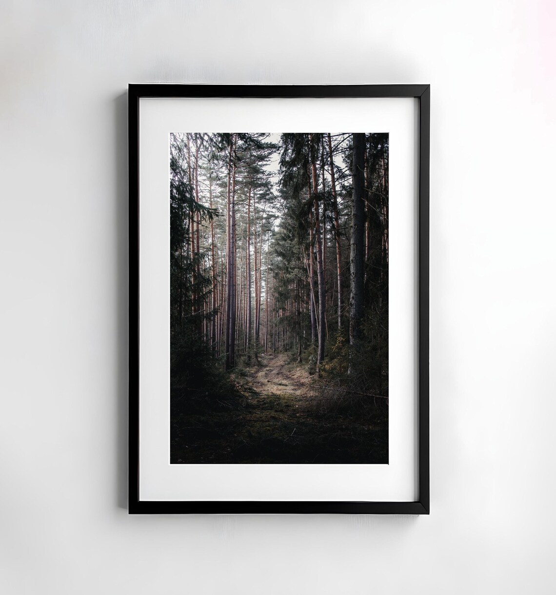 Forest Photography Nature Poster Print, Moody Trees