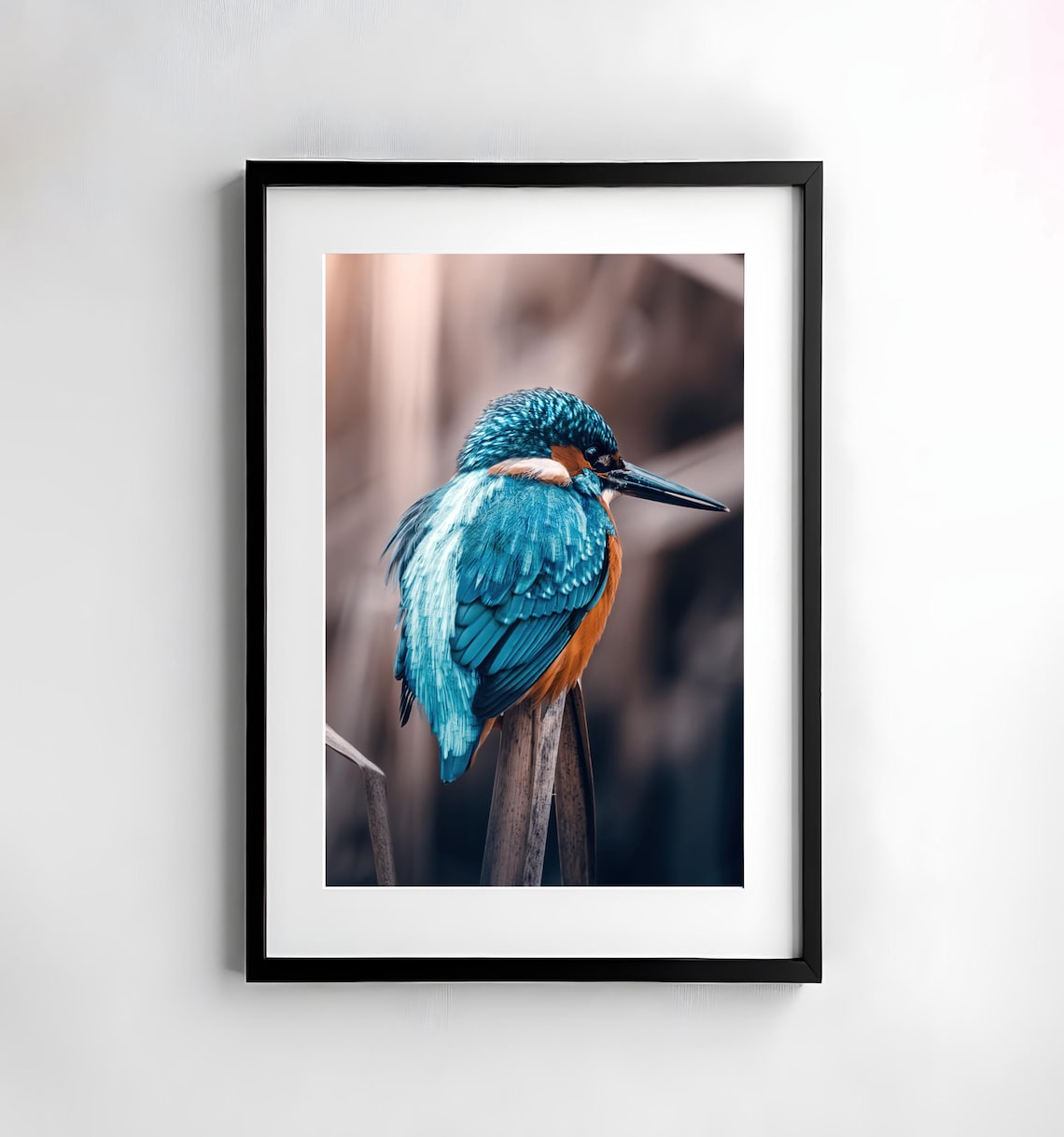Kingfisher Bird Nature Photography Art Print