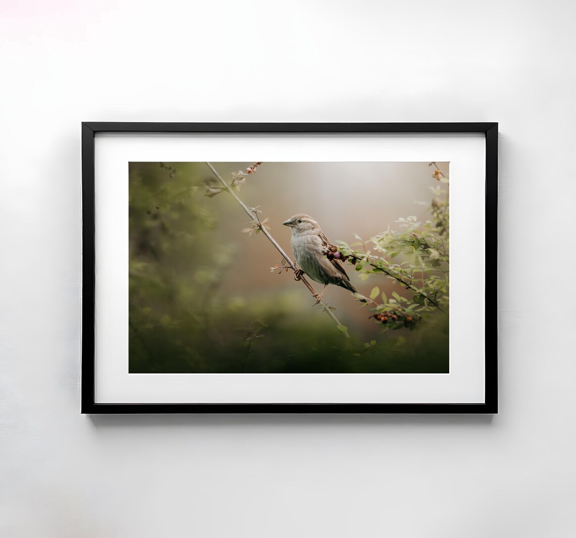 Little Sparrow Resting on a Branch in Soft Morning Light Poster