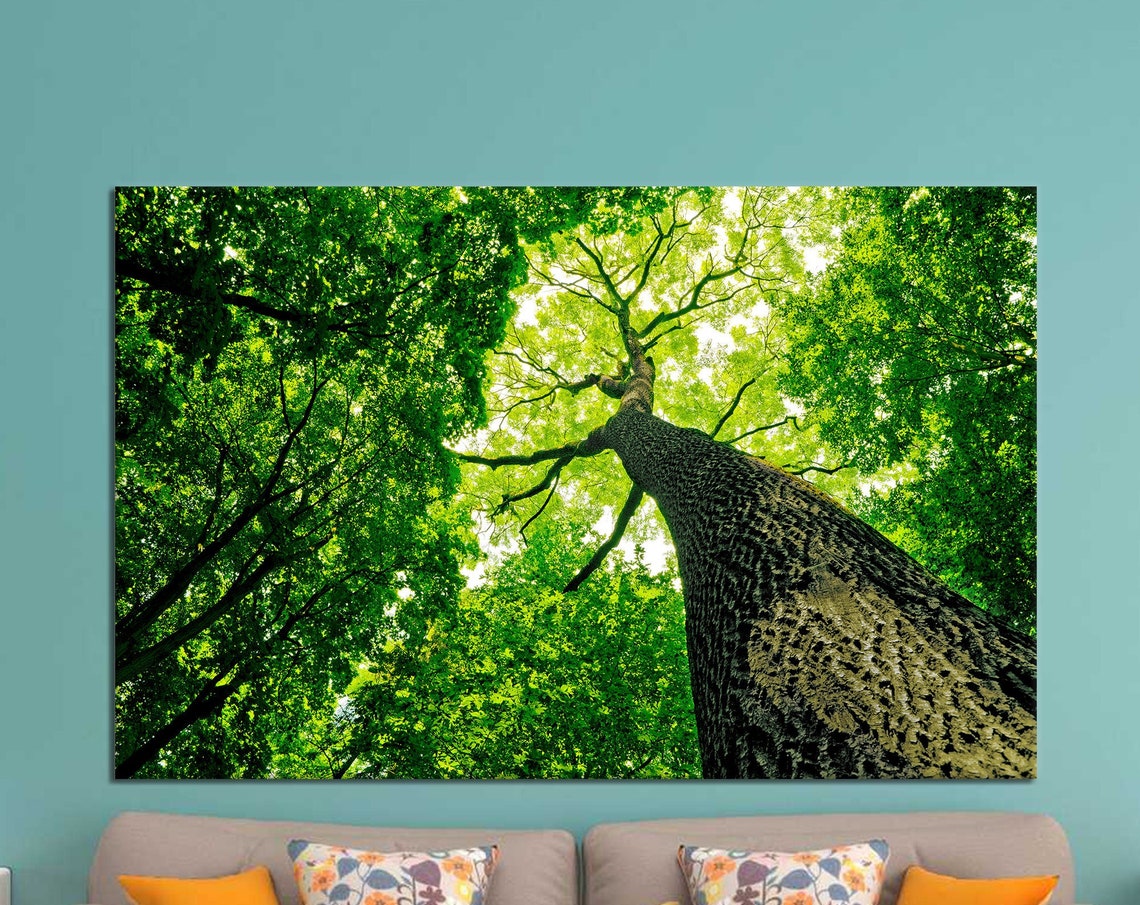 Looking Up at Green Forest Canopy Lush Tree Tops Nature Poster