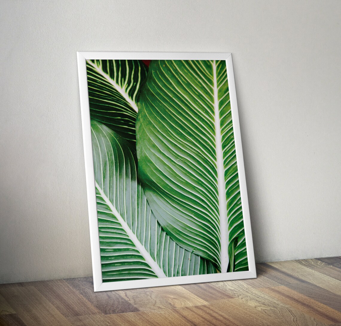 Green Banana Leaves Close Up Tropical Leaf Photography Poster Art - Image 2