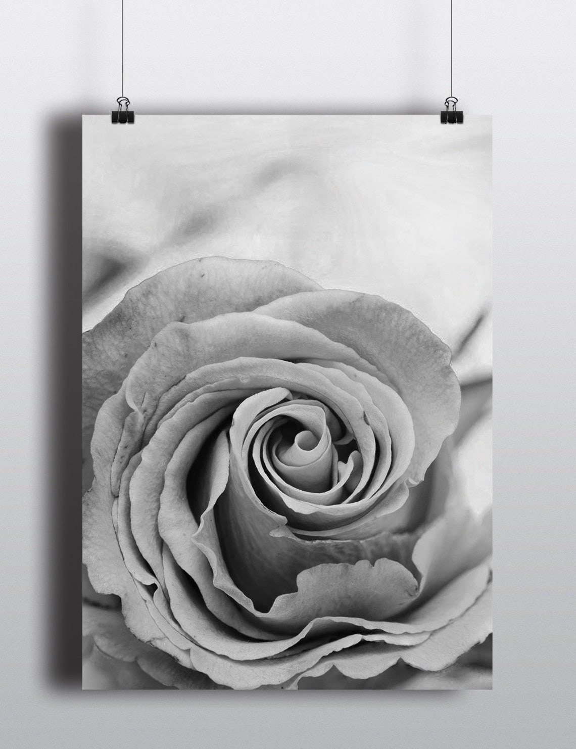 Black and White Rose Macro Photography Romantic Flower Photo Poster