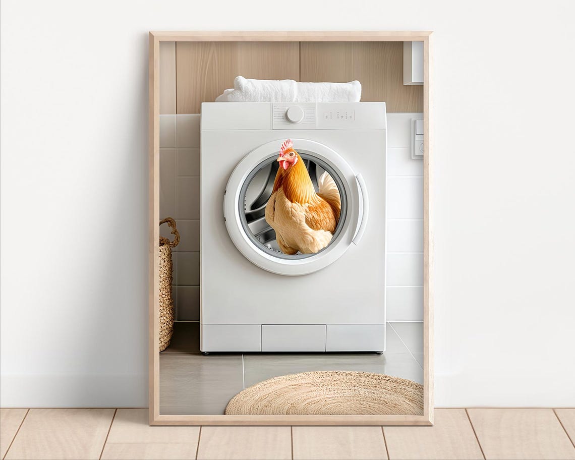 Chicken In Washing Machine Funny Laundry Room Wall Decor Poster