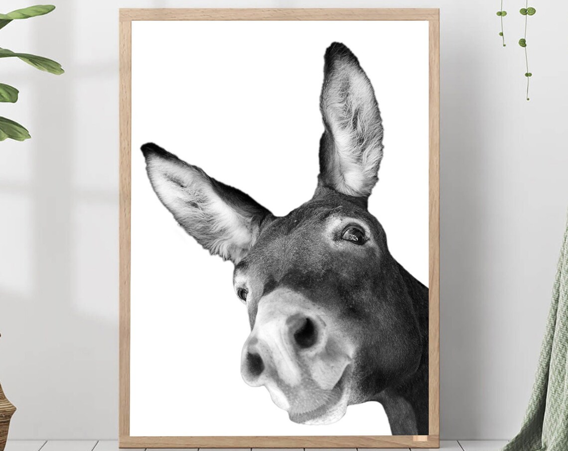 Playful Donkey Face Black And White Farm Animal Nursery Poster