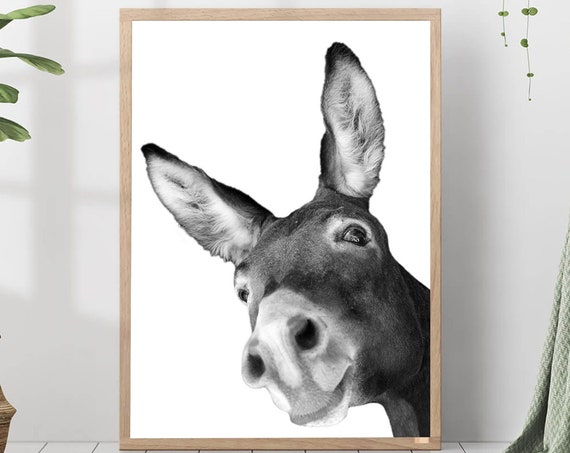 Donkey Portrait Poster Print Black White Photo Nursery Farm Animal Wall Modern Minimalist Home Decor Gift For Lovers