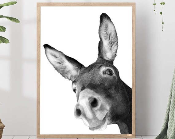 Playful Donkey Face Black And White Farm Animal Nursery Poster