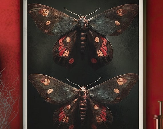 Vintage Wall Decor Wall Art Moth Wall Art Moth Art Nature Wall Art Insect Rustic Entomology Print