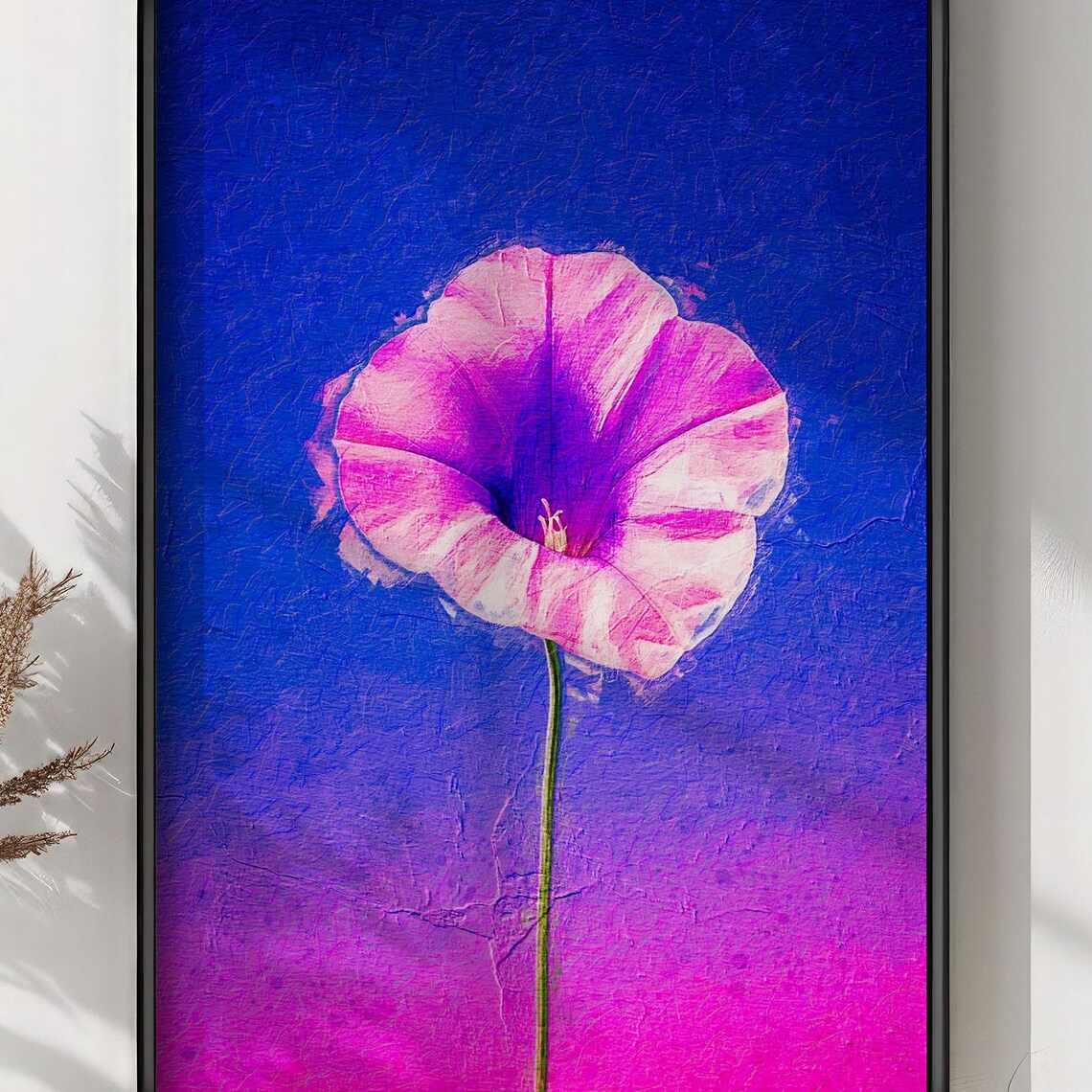 Pink Morning Glory Flower Blue Violet Gradient Botanical Art Print