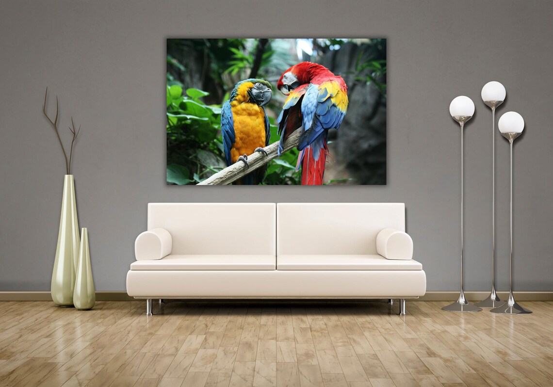 Blue and Yellow Macaw Parrot Pair Tropical Birds Wildlife Poster - Image 2
