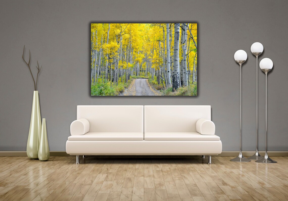 Golden Aspen Grove Autumn Road White Birch Trees Landscape Poster - Image 2